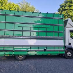 DIRECT PILKINGTON GLASS DAF LF 150 EURO 6 GLASS CARRIER